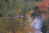 D33_6914.jpg