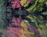 D33_6924.jpg