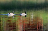 D33_7135.jpg