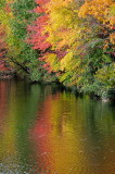 D33_6850.jpg