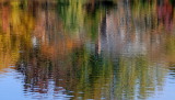 D33_7136.jpg