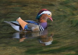 D33_6360.jpg