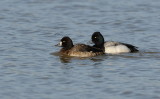 D34_7251.jpg