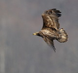 D34_7756.jpg
