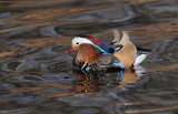 D34_7866.jpg