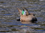 D34_8501.jpg