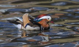 D34_8581.jpg