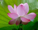 D20_2338 copy.jpg