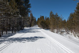 groomed trail to glacier point