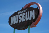 Wildlife Museum