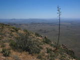 View southeast from the ridgeline