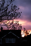 Red sky in the Morning ...