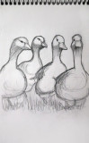 Goose Quartet