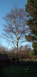 The shortest day