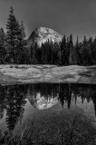 REJ_0971_VSD_BW_WEB.jpg
