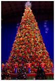 Navy Pier Christmas Tree