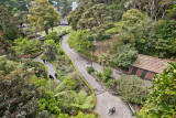 Wellington Botanical Gardens.jpg