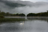 Misty Elter Water Dawn  12_d800_2082