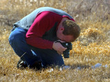 Photographing a Dead Bird 2013