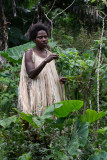 The guide explains some of the native crops