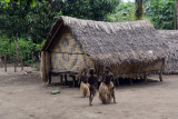 Raised hut, Louinio Nambas Kastom Village