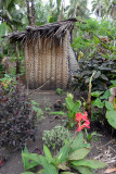 Botanical garden, Tanna