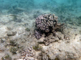 The shallows at Million Dollar Point