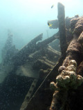 Wreck of the coastal trader
