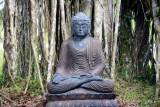 Buddha - Pacific Harbour