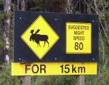 Moose Crossing, Mount Robson Park, BC