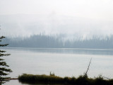 Forest Fire, Jasper National Park