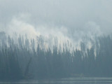 Forest Fire, Jasper National Park