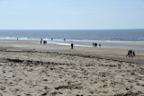 North Sea beach of Noordwijk aan Zee in mid-April