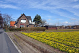 Oude Herenweg off Teylingerlaan