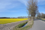 Achterweg-Zuid, Lisse, South Holland