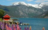 Red boat house with flowers, Norddalsfjorden, Valldal