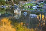 Zen Garden