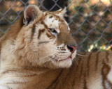 sandy12 047 a 8x10.jpg