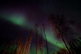 Aurora1012-6814.jpg