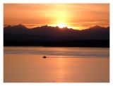 Sunset Over Elliot Bay and the Olympic Mountains