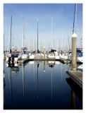 Sailboats Reflect in Still Waters