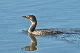 DSC_4974.jpg