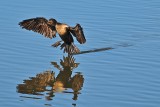 DSC_9502.jpg