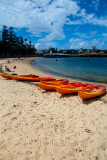 Manly with ferry and kayaks 