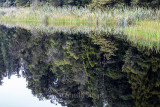 Lake Matheson reflection 