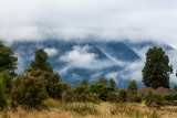 Mist at Lake Matheson, New Zealand