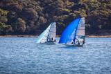 Skiff race on Sydney Harbour 