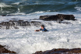 Surfer in swell