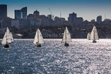 Four yachts sailing downwind on Sydney Harbour 