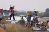 Salt farming at Laem Phak Bia